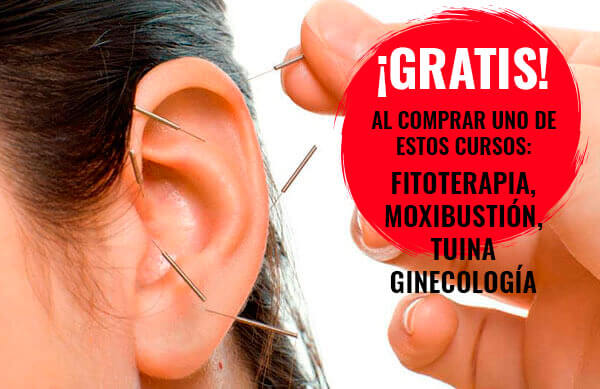 Curso auriculoterapia o auriculopuntura gratis con la compra de otro curso