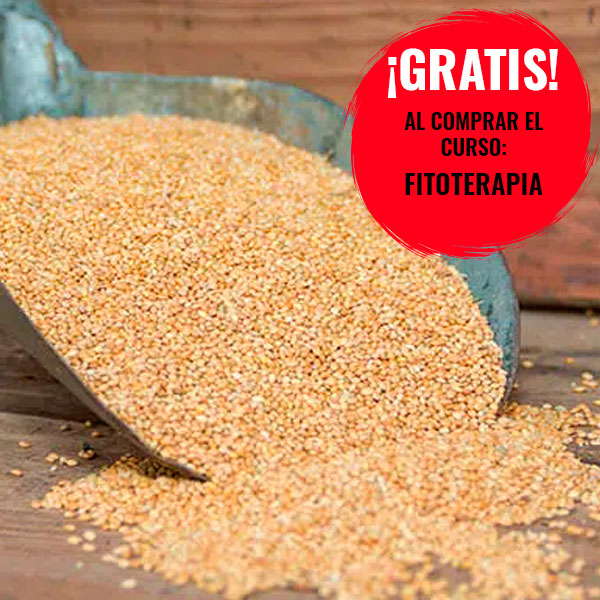 Curso de dietética en Medicina Tradicional China