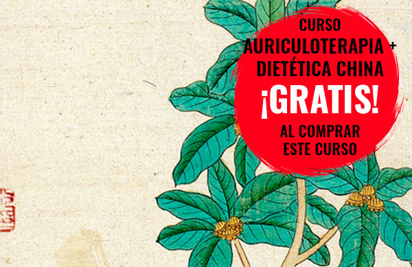 Curso de fitoterapia de medicina tradicional china