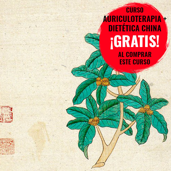 Curso de fitoterapia de medicina tradicional china